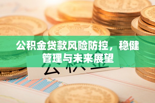 壤塘公积金贷款风险防控，稳健管理与未来展望