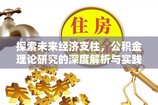 壤塘探索未来经济支柱，公积金理论研究的深度解析与实践意义