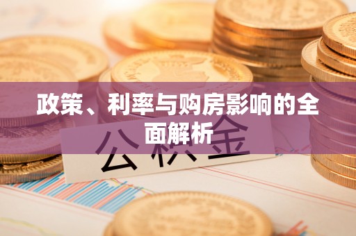 壤塘政策、利率与购房影响的全面解析