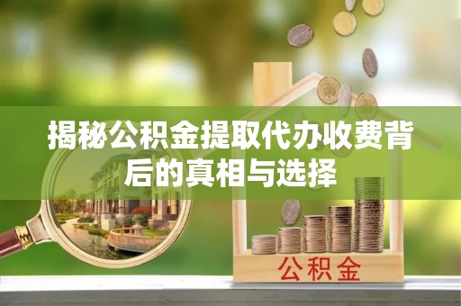 壤塘揭秘公积金提取代办收费背后的真相与选择