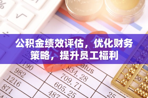 壤塘公积金绩效评估，优化财务策略，提升员工福利