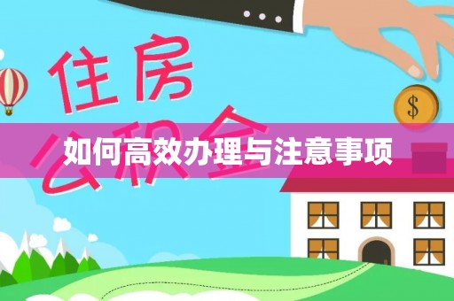 壤塘如何高效办理与注意事项