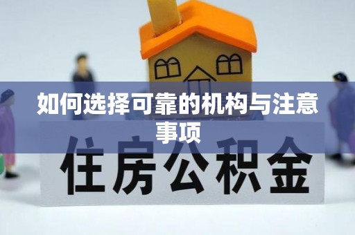 壤塘如何选择可靠的机构与注意事项