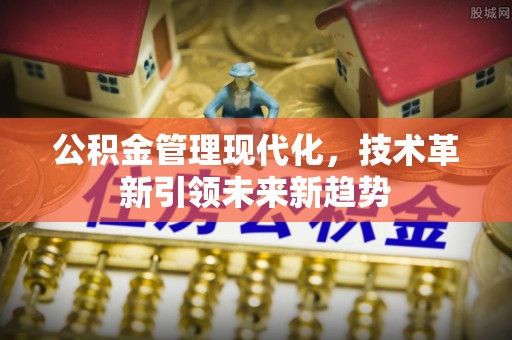 壤塘公积金管理现代化，技术革新引领未来新趋势