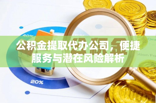壤塘公积金提取代办公司，便捷服务与潜在风险解析