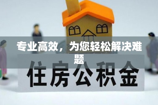 壤塘专业高效，为您轻松解决难题