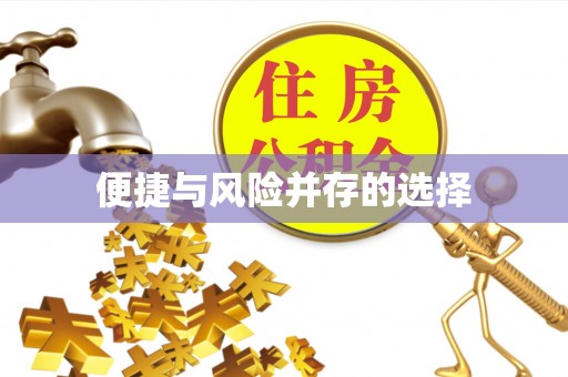 壤塘便捷与风险并存的选择