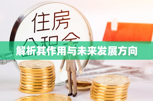 壤塘解析其作用与未来发展方向