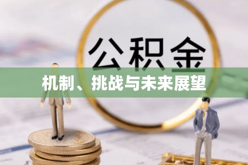 壤塘机制、挑战与未来展望