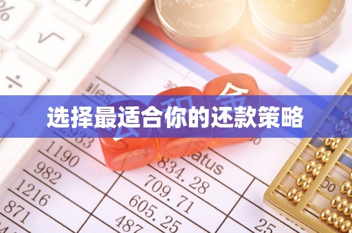 壤塘选择最适合你的还款策略
