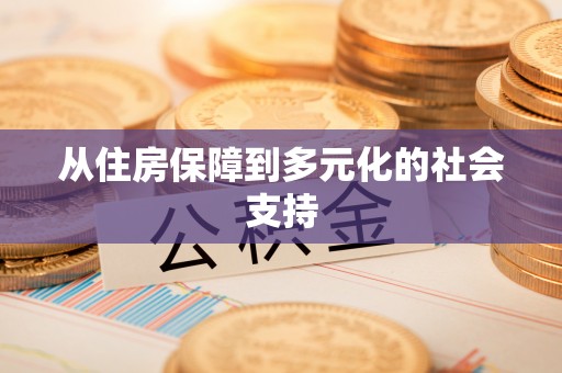 壤塘从住房保障到多元化的社会支持