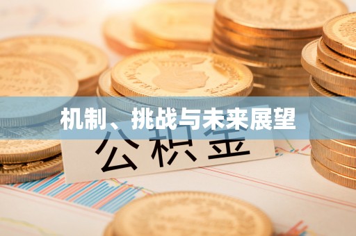 壤塘机制、挑战与未来展望